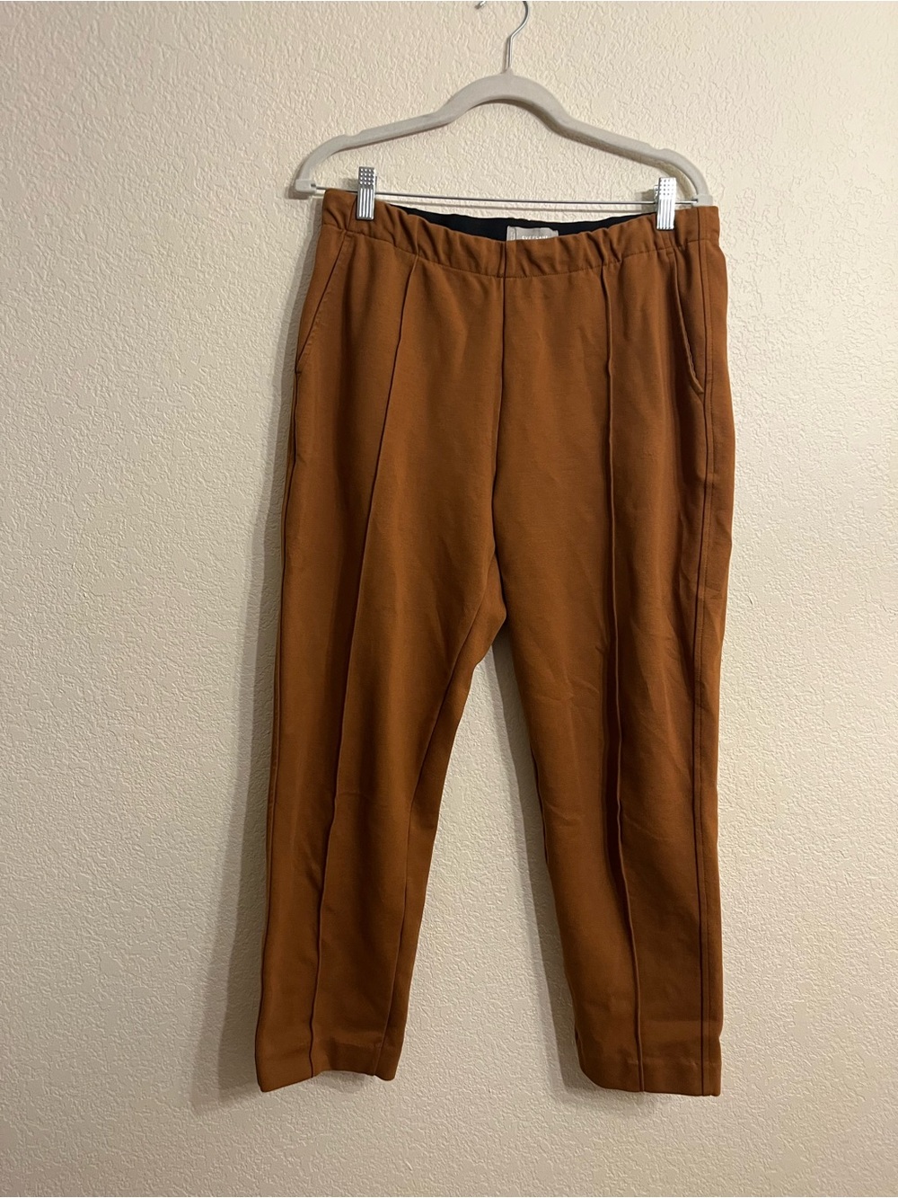 Everlane Men's Rust Tan Chinos